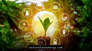 مصادر الطاقة العالمية.. أهميتها وتأثيرها على البيئة