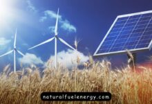 سلبيات الطاقة المتجددة على البيئة