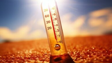 ارتفاع درجات الحرارة يؤدي إلى إطلاق الكربون بشكل سريع وغير متوقع من التربة - تغير المناخ