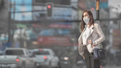 دراسة تربط بين تلوث الهواء ومخاطر الحمل - التلوث البيئي