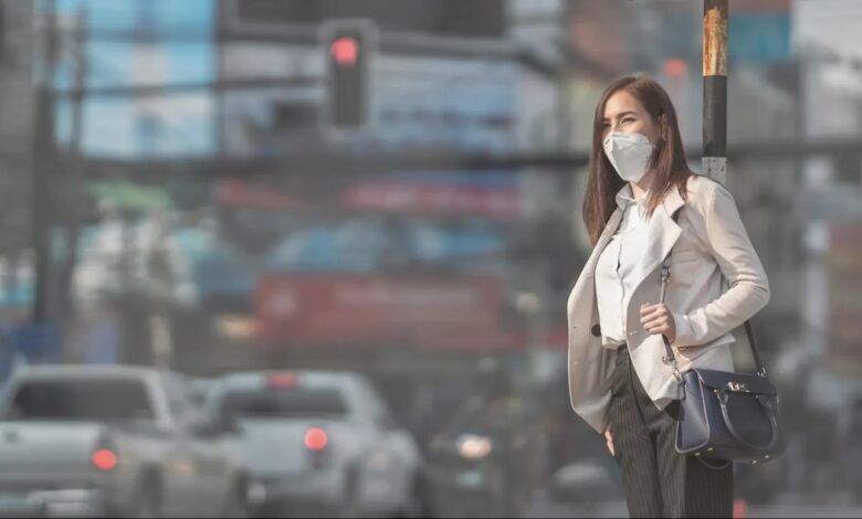 دراسة تربط بين تلوث الهواء ومخاطر الحمل - التلوث البيئي