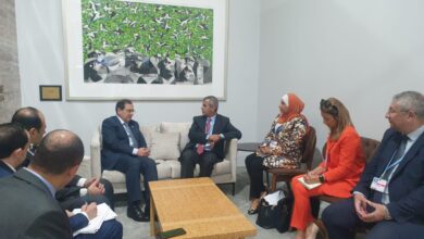 الخرابشة يبحث مع نظيره المصري سبل تخفيض كلف الطاقة