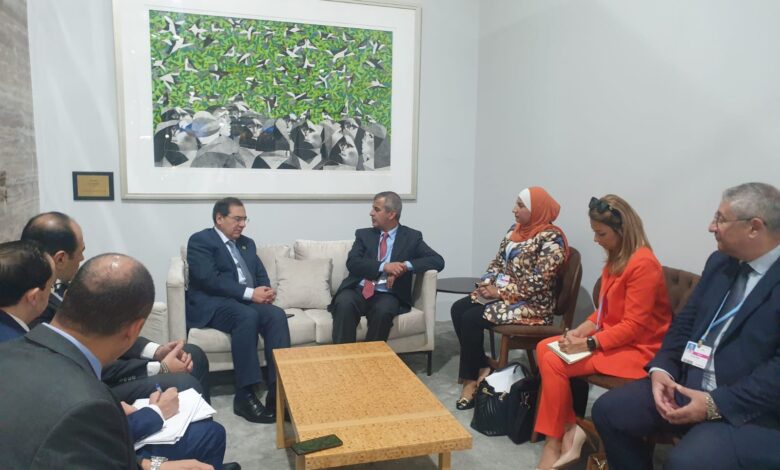 الخرابشة يبحث مع نظيره المصري سبل تخفيض كلف الطاقة
