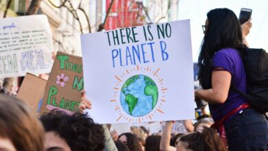Local climate activism is working