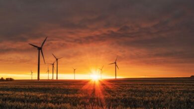 Minnesota utility to construct North Dakota wind project in pursuit of clean energy goals