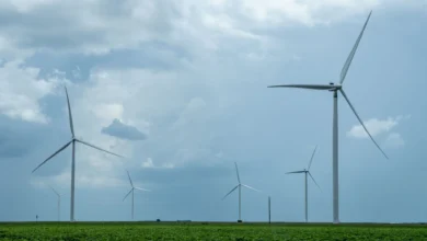 A new South Texas data center will rely on untapped renewable energy