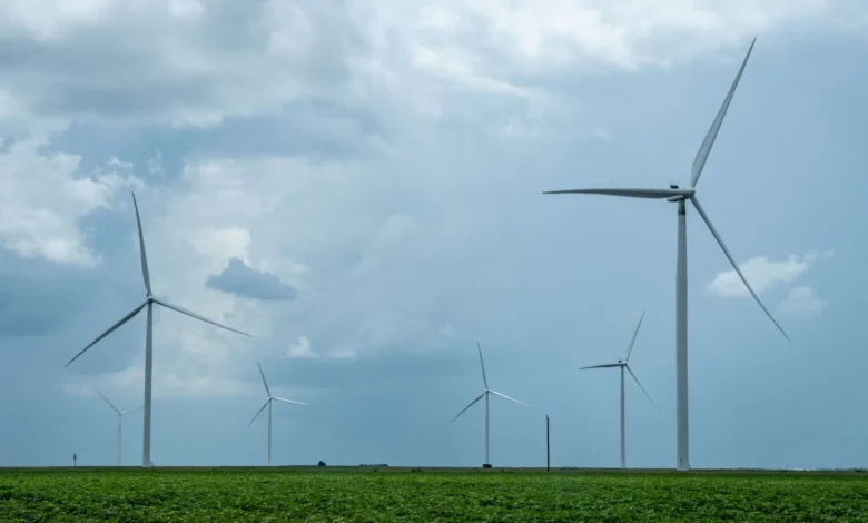 A new South Texas data center will rely on untapped renewable energy