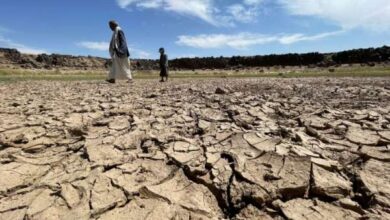 صندوق التكيف مع تغير المناخ يرفع دعمه لليمن إلى 40 مليون دولار - تغير المناخ