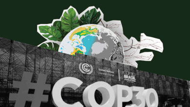 COP30 Conference Overview